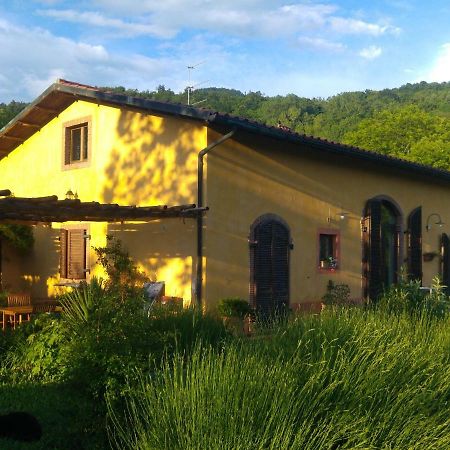 Podere Di Maggio - Casa Della Nonna Santa Fiora Exterior photo
